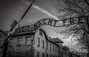 01 - Auschwitz Rob de Joode Fotografie