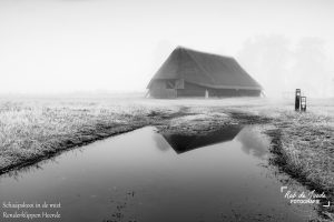 Schaapskooi in de mist Renderklippen Heerde - Rob de Joode Fotografie
